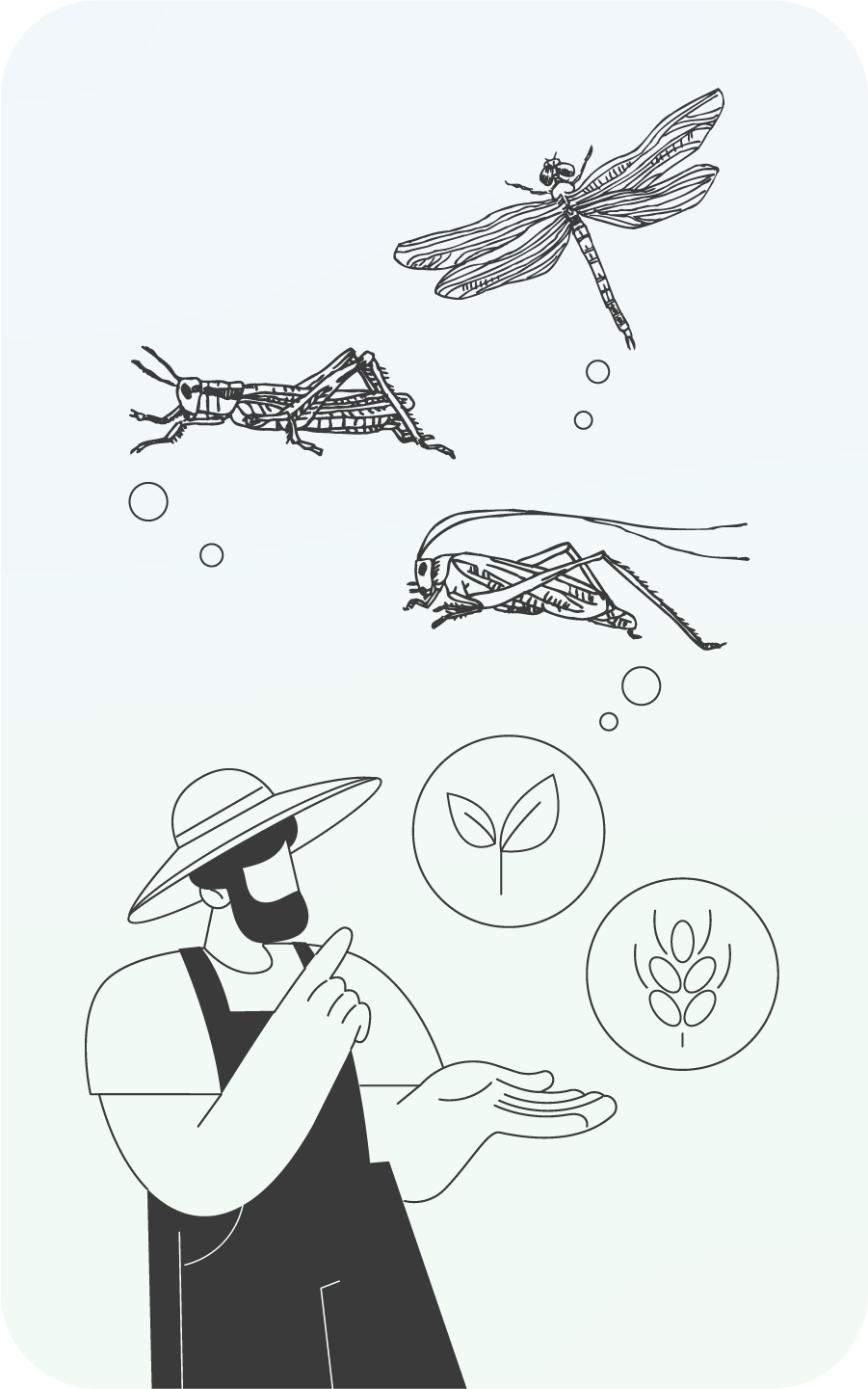 農家と昆虫の共生のイラストｎイメージ