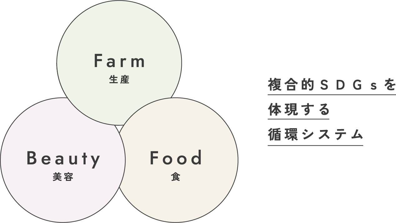 複合的ＳＤＧｓを体現する循環システム 3つの要素イメージ